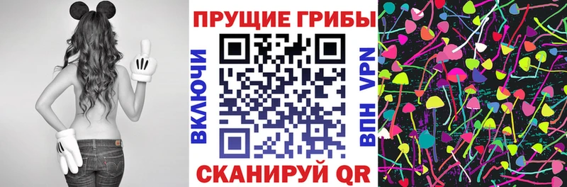 Галлюциногенные грибы прущие грибы  Княгинино 